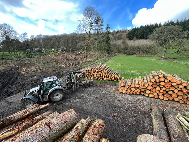 woodland and forestry management 2